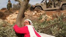 التضليل في مقولة إن الفلسطينيين تنازلوا عن 78% من أرضهم